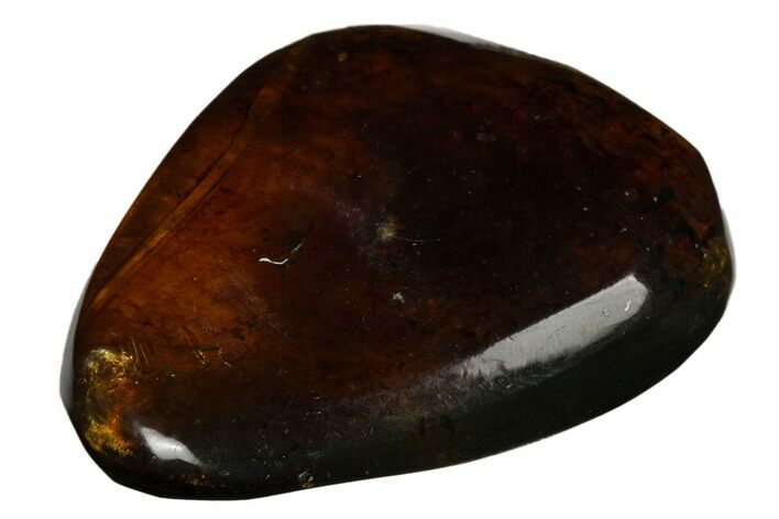 Polished Chiapas Amber ( g) - Mexico #180516